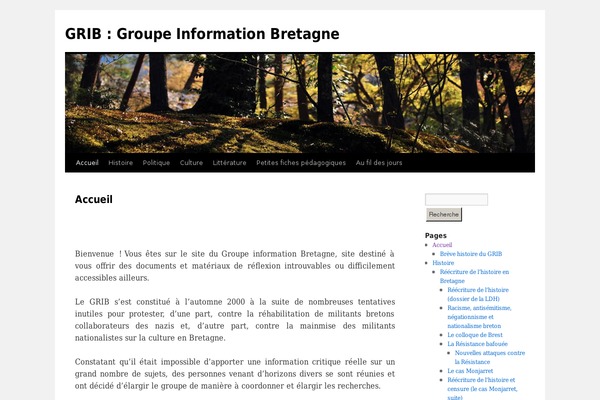 Site using Google Analyticator plugin