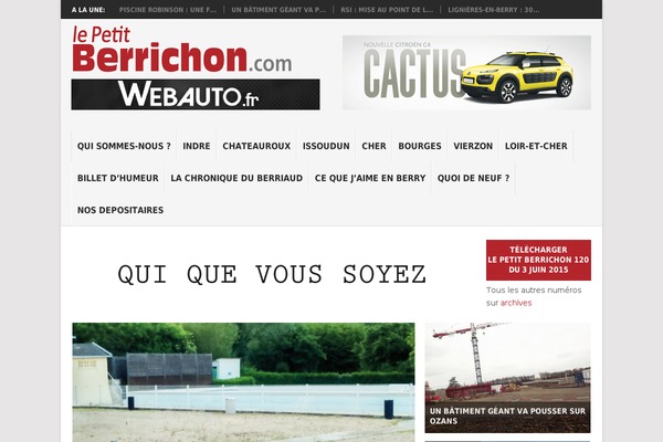 Point theme site design template sample