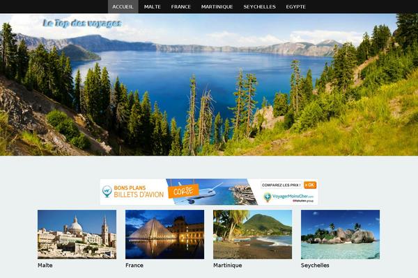 WP Simple theme site design template sample