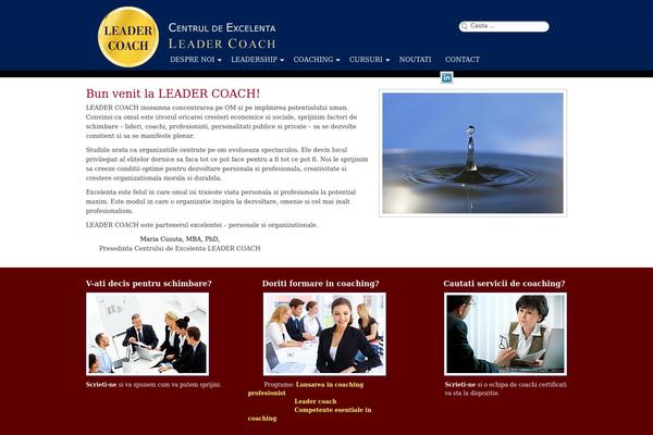 Executive theme site design template sample