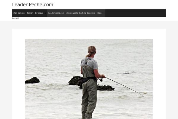 Astra theme site design template sample