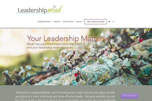 KLEO Child theme site design template sample