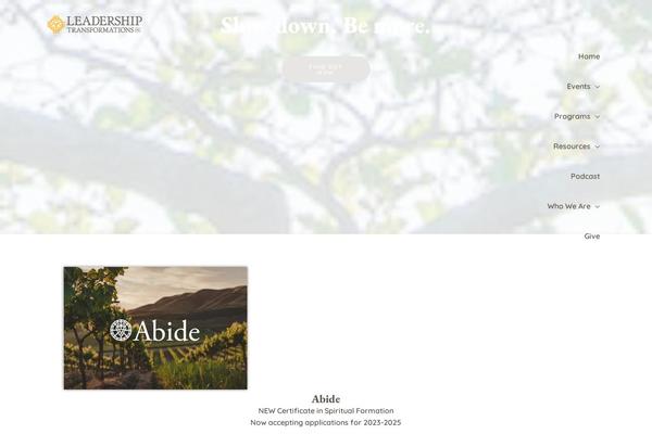 Site using SVG Support plugin