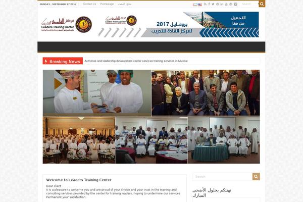 leaders theme websites examples