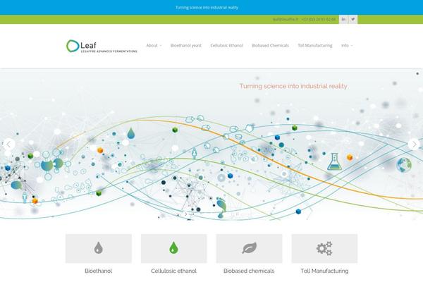 Metrolium theme site design template sample