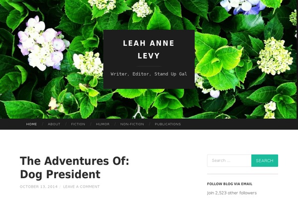 Wpnovelist theme site design template sample