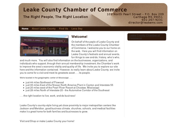 Smallbiz theme site design template sample