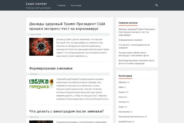 VT Blogging theme site design template sample