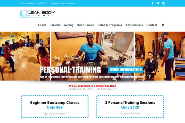 Site using AddToAny Share Buttons plugin