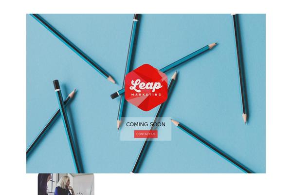 leaponlinemarketing.com site used Multipurpose-child-theme