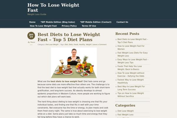 Designfolio theme site design template sample
