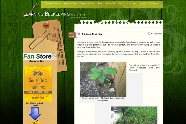 Comment Central theme site design template sample