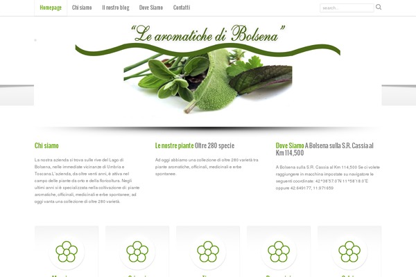 Fairytale theme site design template sample