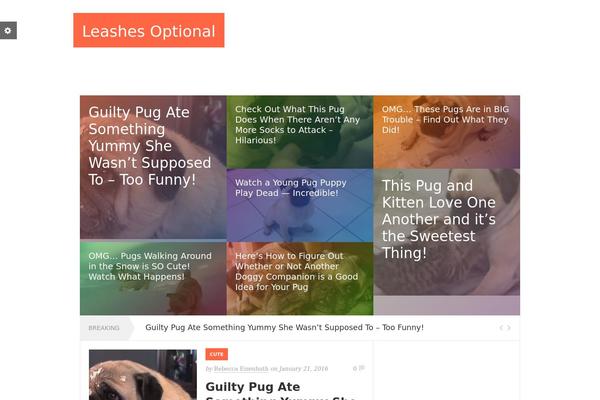 Rexus theme site design template sample