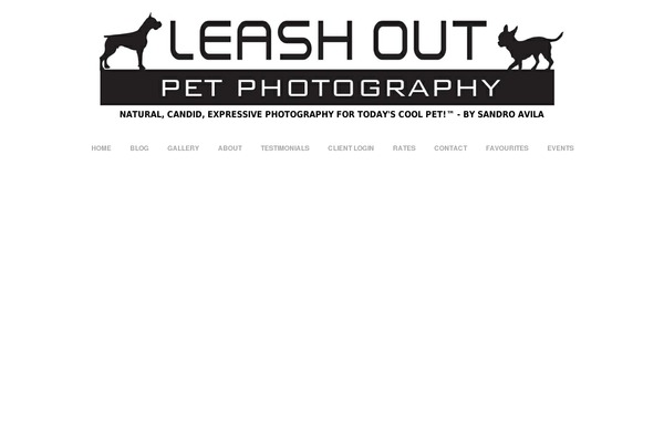 Site using Handsome Testimonials (with widgets) plugin