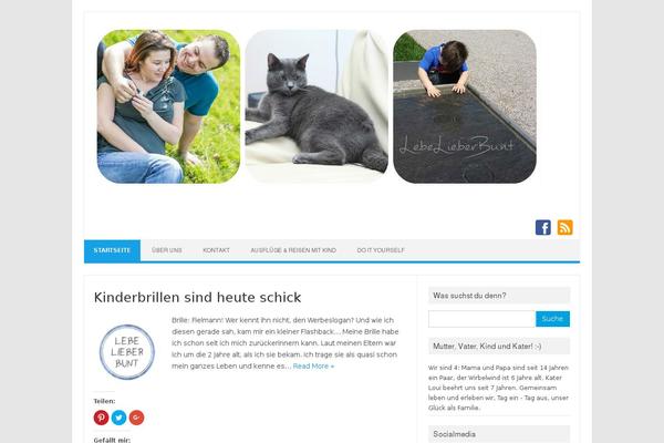 Iconic One theme site design template sample