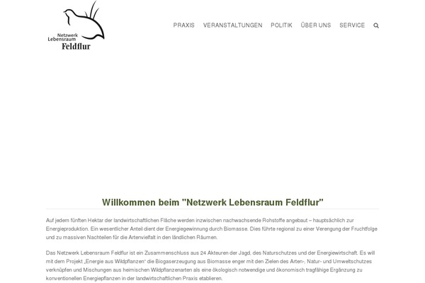 Site using Newsletter2go plugin