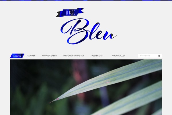 Site using Cocorico Social plugin