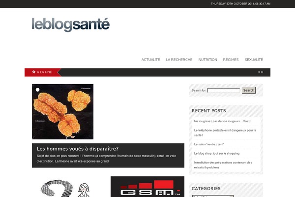 leblogsante.com site used Backstreet