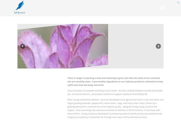Optimizer theme site design template sample