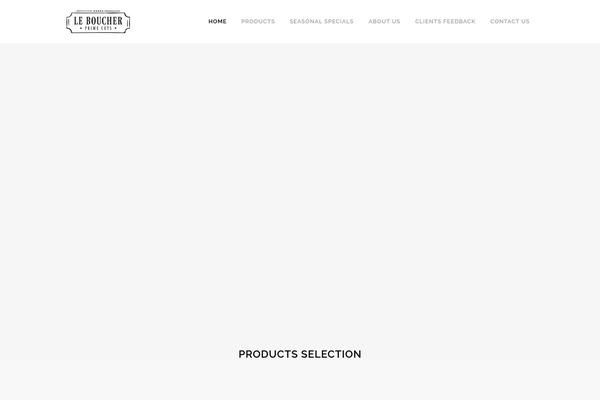 Bridge theme site design template sample