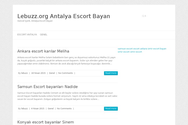 Attitude theme site design template sample