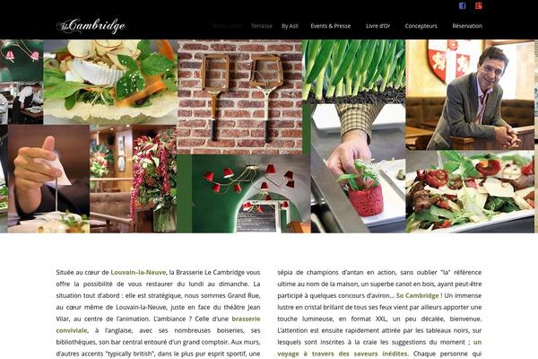 Nosh theme site design template sample