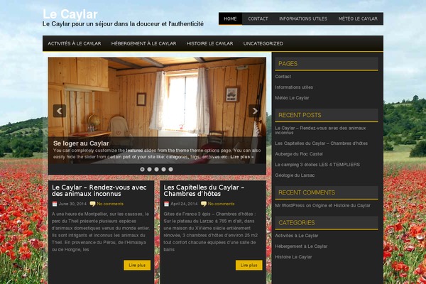 Lugada theme site design template sample