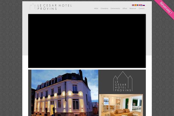 Site using Dzs-portfolio plugin