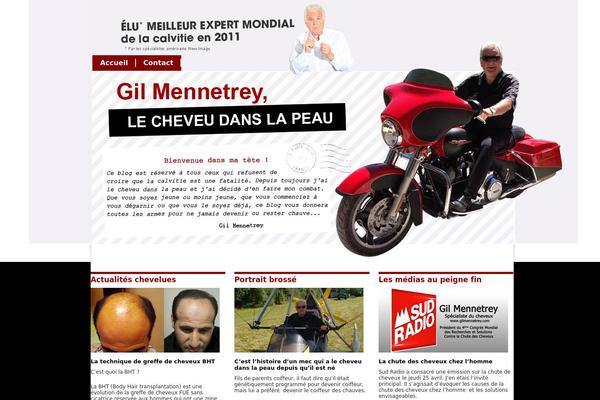 lecheveudanslapeau.com site used Wp_stereo5-v1.1