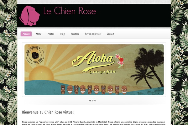 Limon theme site design template sample