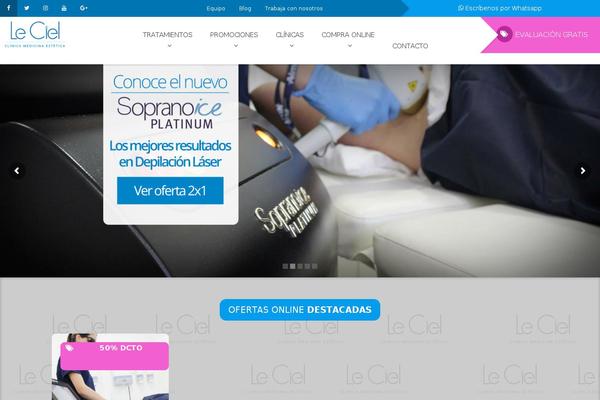 Salient theme site design template sample