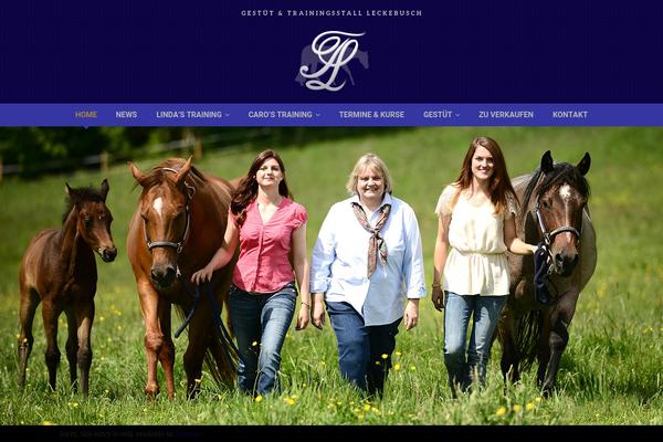 Avada Child Theme theme site design template sample