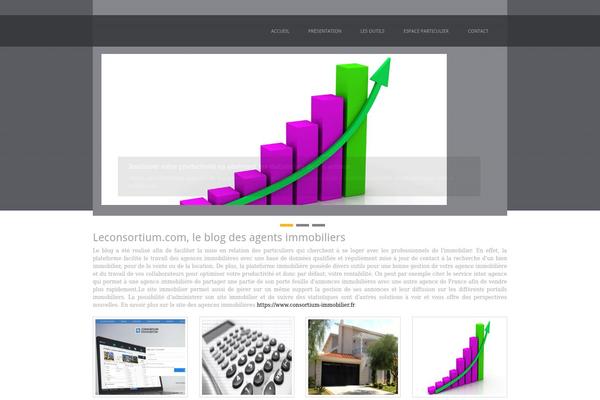 leconsortium.com site used Calominomagazine