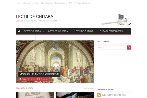 Madidus theme site design template sample