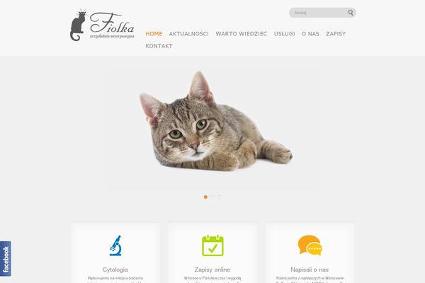 Medicare theme site design template sample