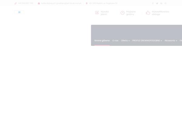Bauer theme site design template sample
