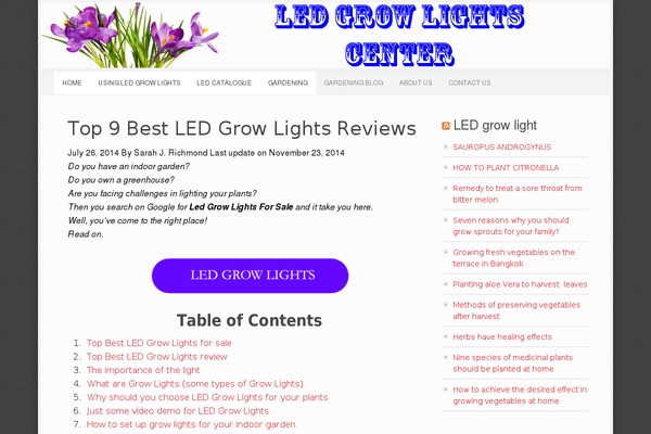 Focus theme site design template sample