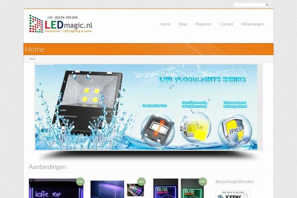 iCompany theme site design template sample