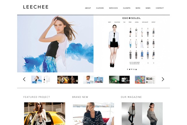 leecheeny.com site used Dandelion_v2.2