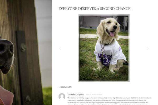 Seasonal theme site design template sample
