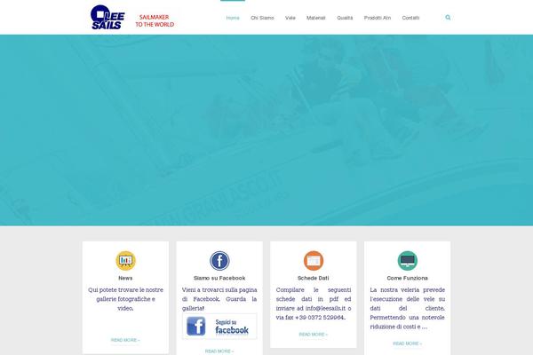Company theme site design template sample