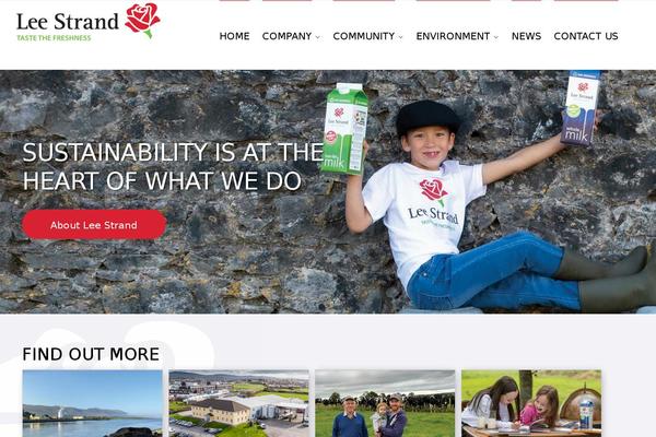 Shoptimizer theme site design template sample
