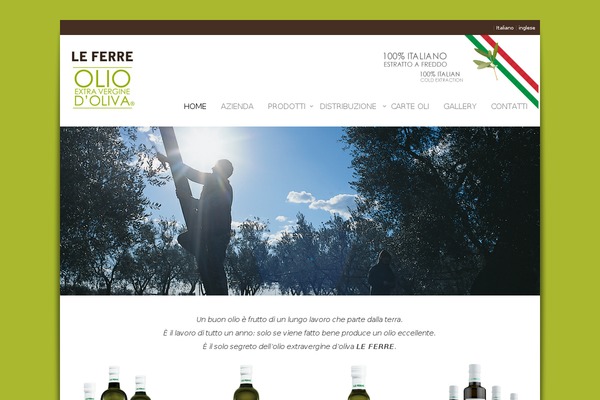 Site using Dzs-imageeffects plugin