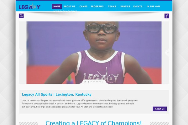 Icemag Theme theme site design template sample