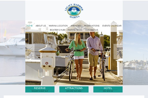 Socha theme site design template sample