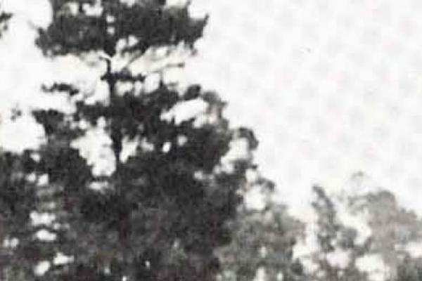 Twenty Seventeen theme site design template sample