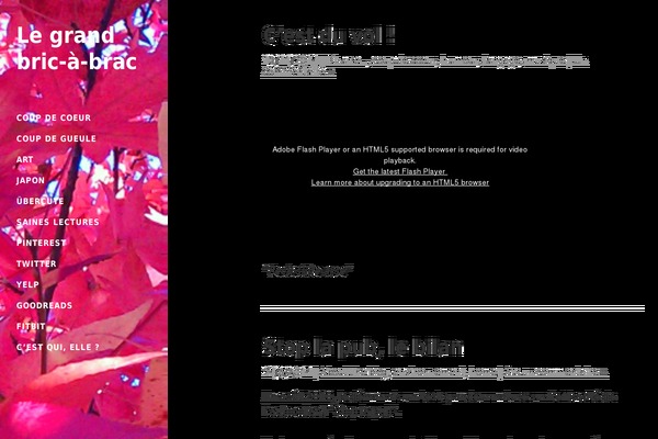 legrandbricabrac.fr site used Tabinikki-master