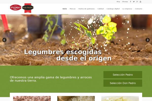 Enfold theme site design template sample
