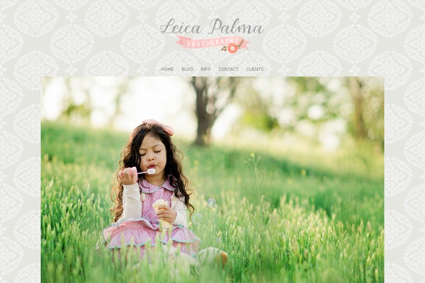 Prophoto4 theme site design template sample